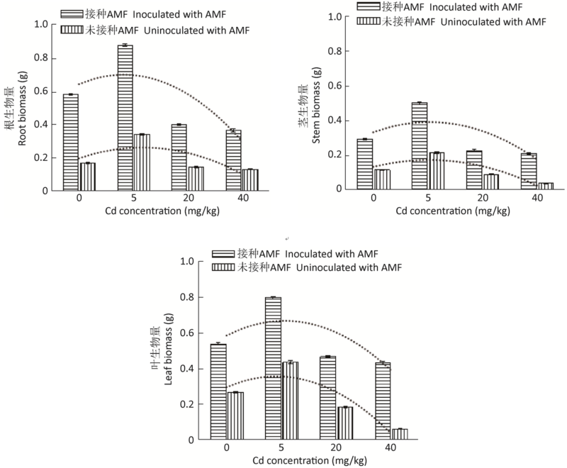 Effects Of Interaction Between Amf And Cd On Mulberry Growth And Absorption And Migration Of