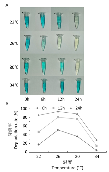 Optimization of decolorization conditions of malachite green dye