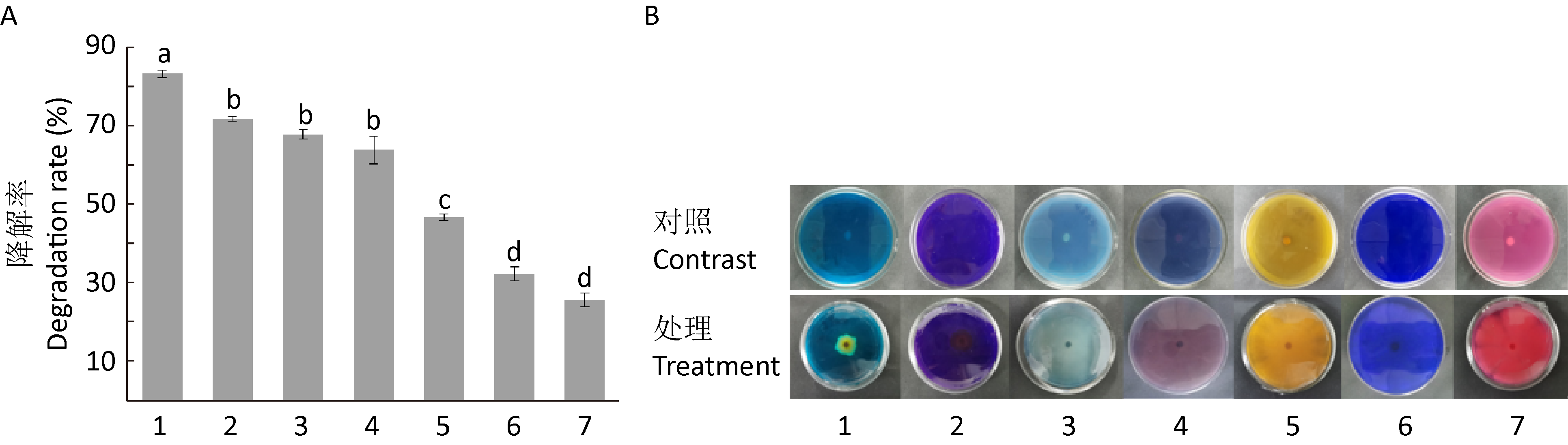 Optimization of decolorization conditions of malachite green dye