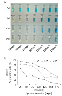 Optimization of decolorization conditions of malachite green dye by